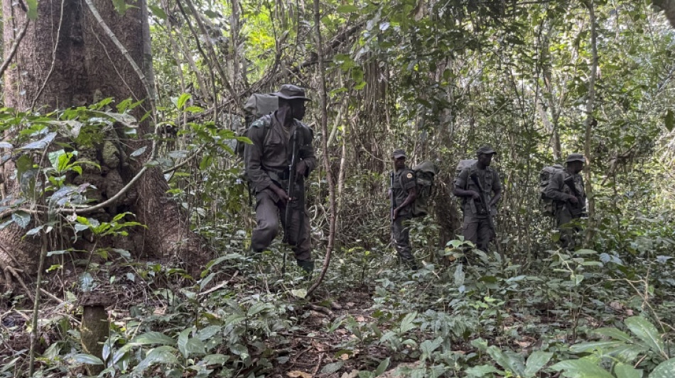 De braconnier &agrave; ranger: au Nigeria, le nouveau souffle de la for&ecirc;t d'Okomu