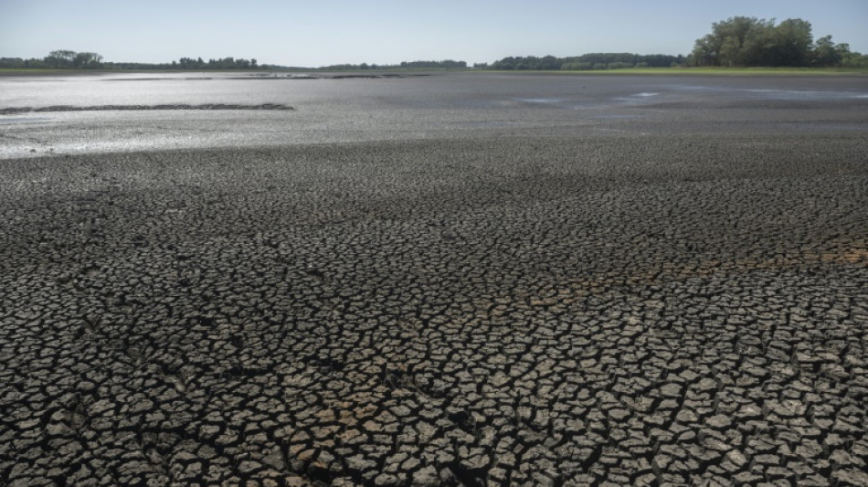 Jefe de la ONU considera "lamentable" la respuesta mundial al cambio clim&aacute;tico &nbsp; 