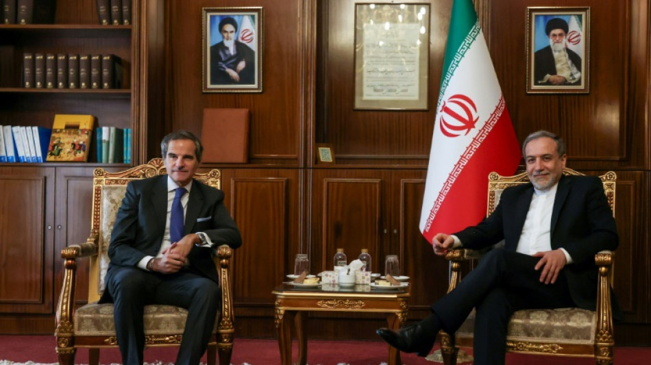 El jefe del OIEA se re&uacute;ne con el canciller iran&iacute; para conversar sobre el programa nuclear