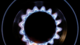 Il gas prosegue in deciso calo (-3,8%) ad Amsterdam