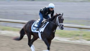 Racing resumes at Belmont Park after wildfire smog shutdown