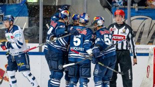 Meister M&uuml;nchen setzt sich an die DEL-Spitze 