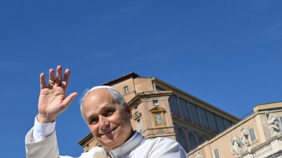 El papa une fuerzas con Schwarzenegger para "terminar" con el cambio clim&aacute;tico