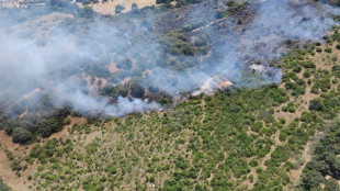 Vasto rogo nel Cagliaritano, elicotteri in volo e case evacuate