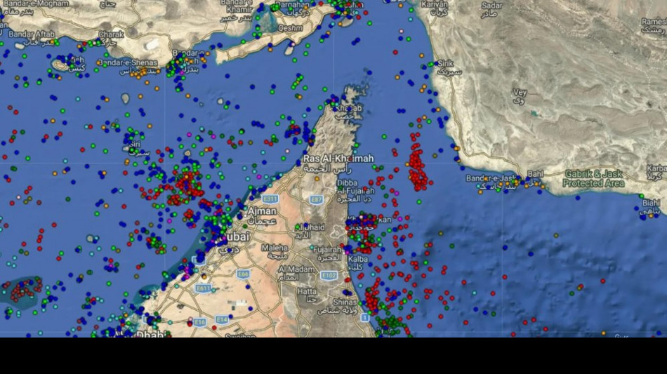  Il petrolio affonda a New York a 89,11 dollari al barile 