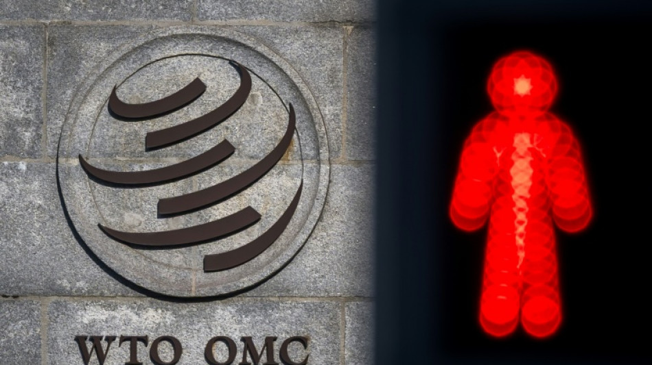  E-commerce in the crosshairs at WTO in digital taxes battle 