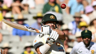 Warner unveils Sydney swansong plan