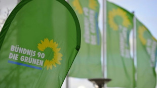 Gr&uuml;ne fordern R&uuml;ckkehr zum Neun-Euro-Ticket und Sonderabgabe f&uuml;r Privatjets