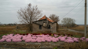 Dans l'est de l'Ukraine, l'&eacute;tau se resserre sur les derniers civils