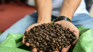 Vietnam quiere promover su caf&eacute; robusta en un mundo cada vez m&aacute;s caliente
