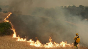 Los incendios que arrasan Espa&ntilde;a y Francia siguen sin control y fuerzan la evacuaci&oacute;n de 270.000 personas