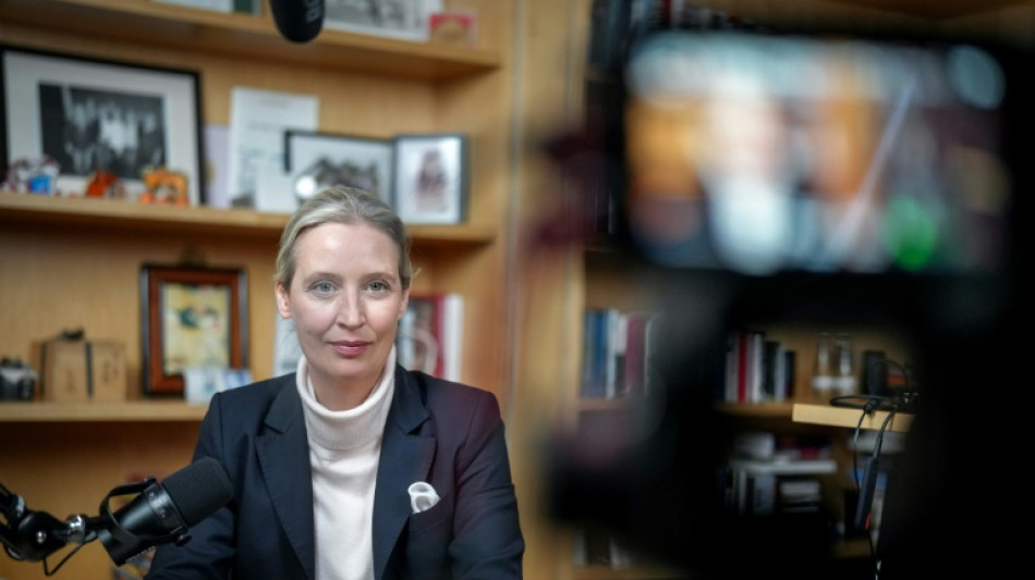 AfD-Chefin Weidel kann sich Partei-Rechtsau&szlig;en H&ouml;cke als Minister vorstellen