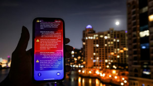 "On devient fous": &agrave; Duba&iuml;, l'angoisse de touristes fran&ccedil;ais en d&eacute;route