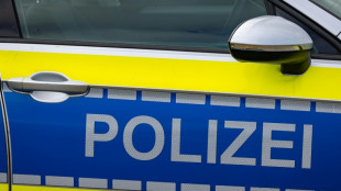 Drei Menschen in Wald bei Flensburg durch umst&uuml;rzenden Baum get&ouml;tet 