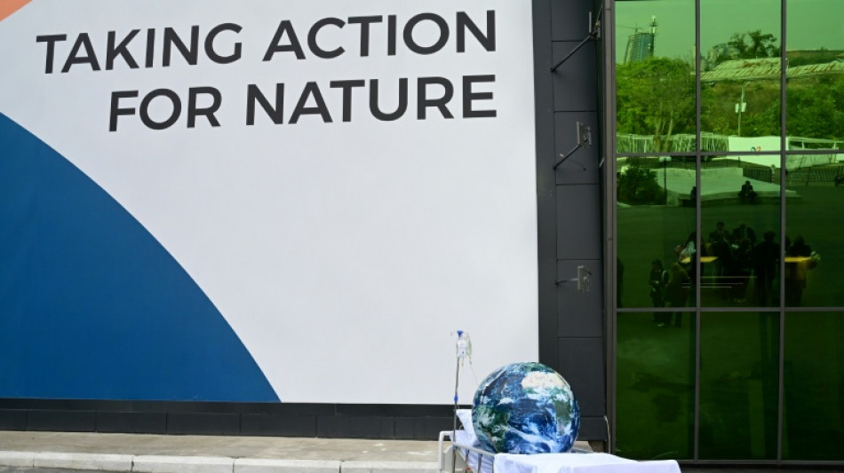  UN nature summit in extra time as nations grapple for deal 
