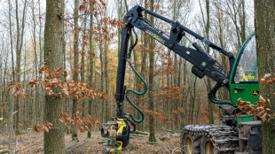 Bois plut&ocirc;t que p&eacute;trole: le pari d'un industriel face &agrave; la crise de la chimie allemande