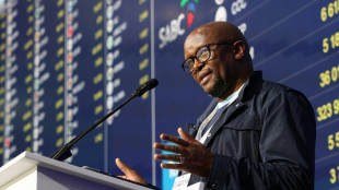 Afrique du Sud&nbsp;: l'ANC travaille &agrave; former un gouvernement de coalition