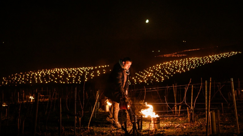 A Chablis, nuit de lutte pour limiter les d&eacute;g&acirc;ts du gel sur les vignes