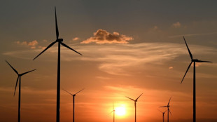 EU-Energieminister verl&auml;ngern vereinfachte Genehmigung von Wind-und Solaranlagen