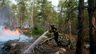 Wildfires that ravaged historic forest outside Paris contained 