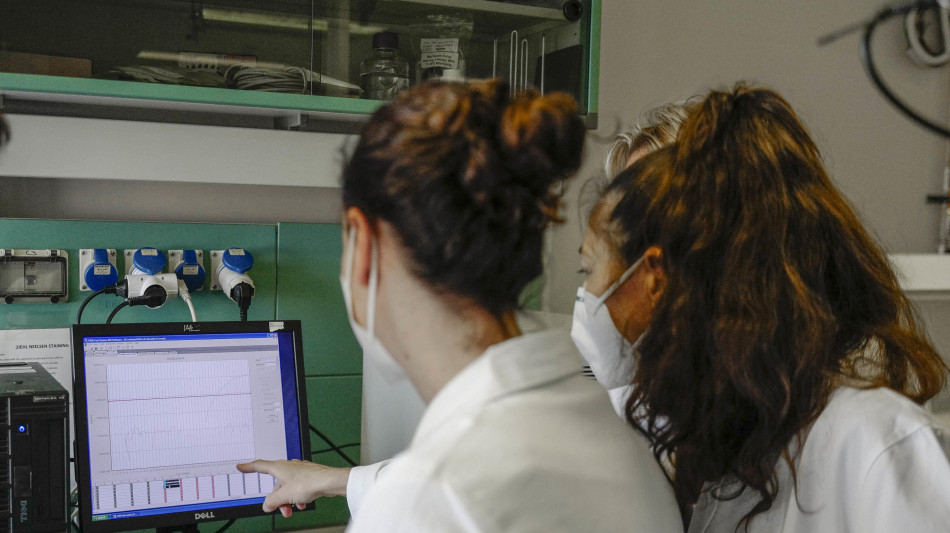  La scarlattina circolava in Sudamerica prima di Colombo 