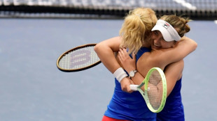 Czechs down USA to complete BJK Cup semi-finals line-up