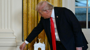 Trump administration reveals plans for massive Washington arch