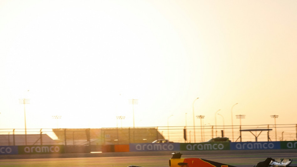 Verstappen vor WM-Kr&ouml;nung: Bestzeit im Katar-Training