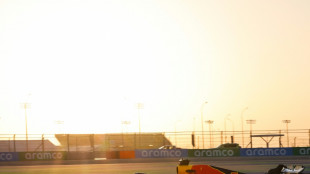 Verstappen vor WM-Kr&ouml;nung: Bestzeit im Katar-Training