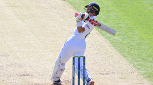 Pope and Duckett run riot against Ireland
