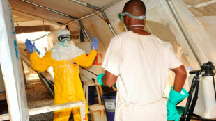 WHO to hold emergency meeting on E.Guinea Marburg outbreak