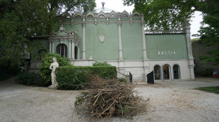 Ambasciatore Russia alla Biennale, 'Italia bersaglio di brutali diktat Ue'
