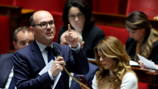 Le gouvernement souhaite cr&eacute;er une "fili&egrave;re" des industriels impliqu&eacute;s dans la lutte contre les incendies