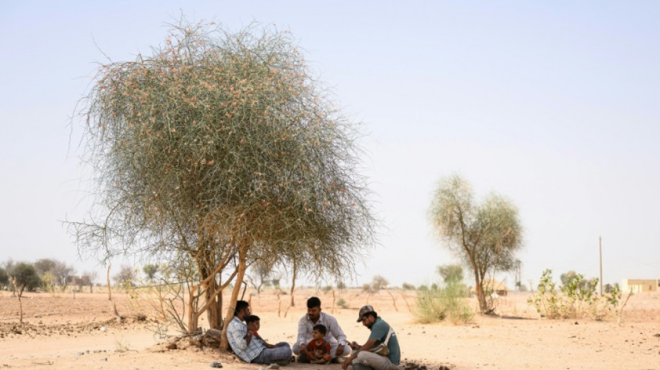  India learns to live with hotter summers 
