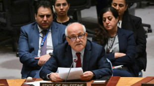 Para EUA, ONU n&atilde;o &eacute; lugar para reconhecer Estado palestino