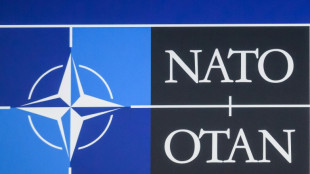 Berlin d&auml;mpft Erwartungen zu Nato-Aufnahme Finnlands und Schwedens bei Gipfel