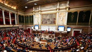 Le RN voit les postes cl&eacute;s de l'Assembl&eacute;e lui &eacute;chapper, l'h&eacute;micycle s'enflamme d&eacute;j&agrave;