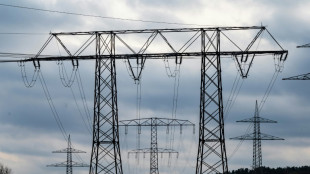 Bund will mit milliardenschwerem Tennet-Einstieg Ausbau der Stromnetze absichern