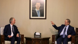 UN praises 'potential' of Syria prisoner amnesty 