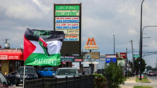 Pr&egrave;s de Chicago, la profonde col&egrave;re des habitants de "Little Palestine"