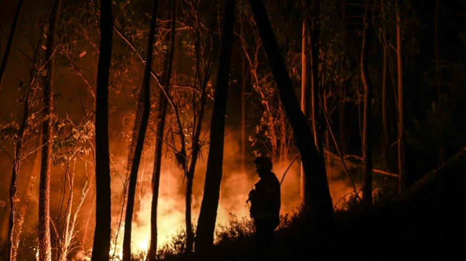 Le Portugal en proie &agrave; la canicule et aux feux de for&ecirc;t