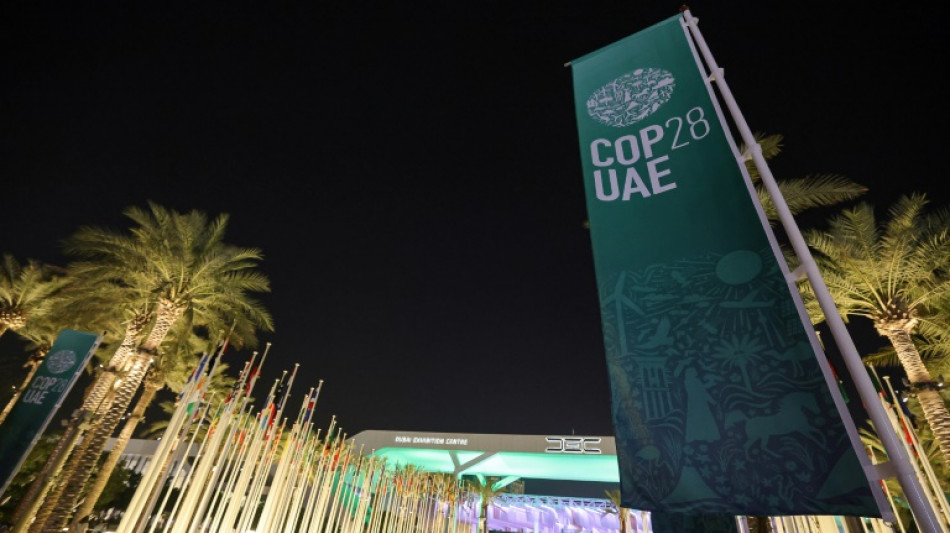 Un ex alto cargo del petr&oacute;leo de Azerbaiy&aacute;n presidir&aacute; la COP29 de Bak&uacute;