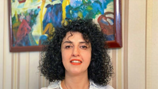 Ir&atilde; limita atendimento m&eacute;dico a Nobel da Paz presa por n&atilde;o usar v&eacute;u, diz fam&iacute;lia
