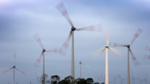 Bundesrat macht Weg f&uuml;r Paket von Energiegesetzen frei