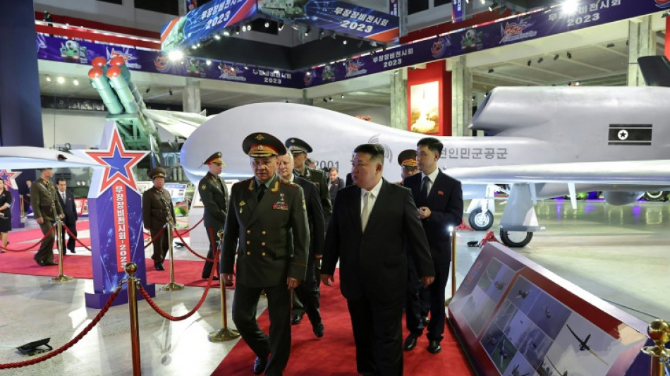 Nordkorea und Russland bekr&auml;ftigen ihre milit&auml;rische Zusammenarbeit