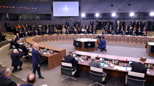 Nato verst&auml;rkt Ostflanke und r&uuml;stet sich gegen m&ouml;gliche chemische Angriffe