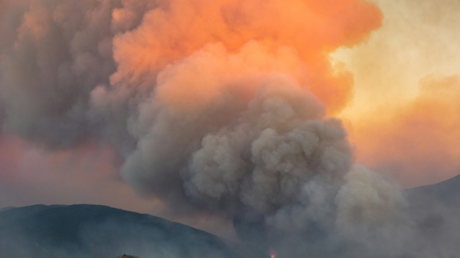  Des moyens a&eacute;riens suppl&eacute;mentaires pour contenir l'incendie des Pyr&eacute;n&eacute;es-Orientales 