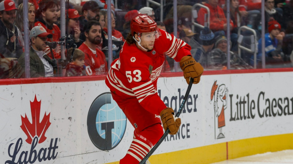 NHL: Erfolge f&uuml;r Reichel und Seider