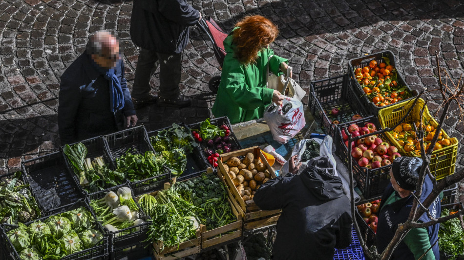  Protesta Tir e agricoltori, ritardi e carenze di pesce e ortofrutta al Nord 