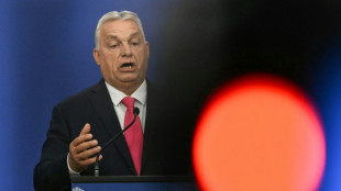 A Budapest, le "mouton noir" Orban jubile en ma&icirc;tre de c&eacute;r&eacute;monie